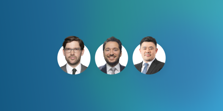 Full, Partial or Plausibility Review? – Public Policy and the Level of Scrutiny Applied by German Courts