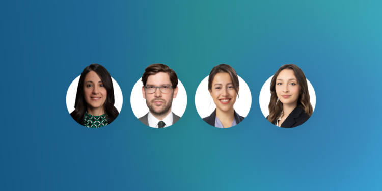 The “Super Permit”: Türkiye’s Renewable Energy Agenda